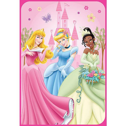 Disney Princess "Castle in a Forest" Twin Blanket