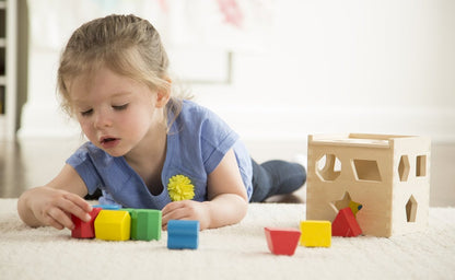 Shape Sorting Cube With 12 Shapes
