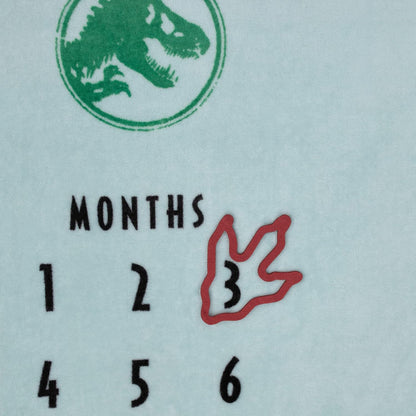 Jurassic World Dinosaurs Plush Milestone Baby Blanket, 40x50 Monthly Photo Op Fleece Blanket with Trackers, T-Rex & Triceratops, Light Blue