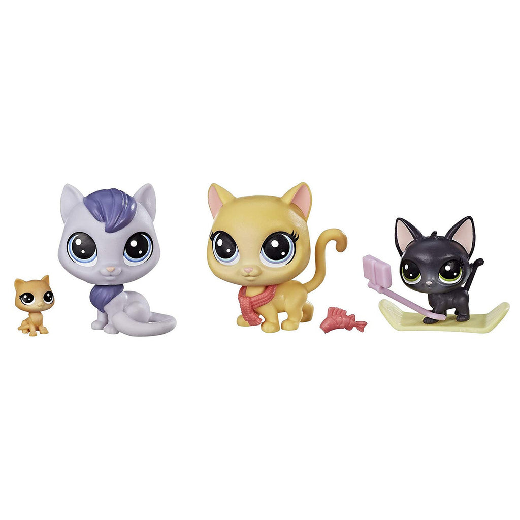 Littlest Pet Shop Snowboarding Kitty Crew