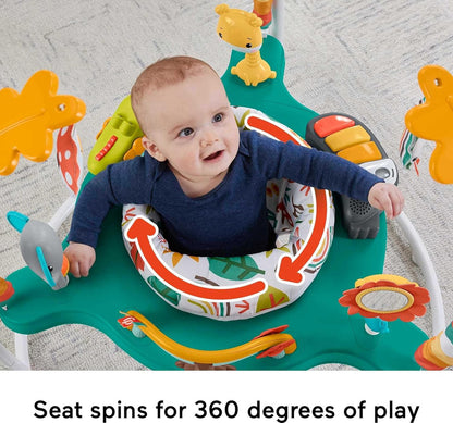 Fisher-Price Baby Bouncer Whimsical Forest Jumperoo Activity Center