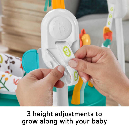 Fisher-Price Baby Bouncer Whimsical Forest Jumperoo Activity Center