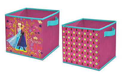 Frozen Storage Cubes, Set of 2, 10-Inch