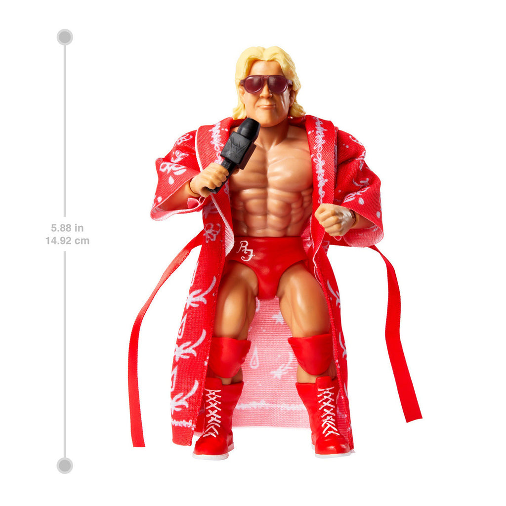 WWE Superstars Ric Flair